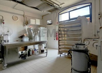 Non correlato - Attività Commerciale VIA DELLA GINESTRA
 
26/28, Montevarchi - foto 10