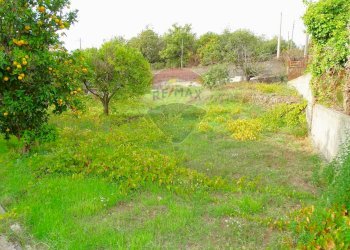 Giardino - Terreno edificabile Via del soccorso angolo via Agrigento
SNC, Mascalucia - foto 14