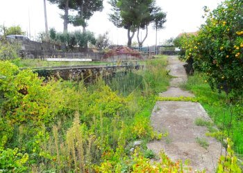 Giardino - Terreno edificabile Via del soccorso angolo via Agrigento
SNC, Mascalucia - foto 15
