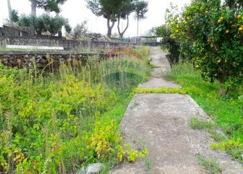 Giardino - Terreno edificabile Via del soccorso angolo via Agrigento
SNC, Mascalucia - foto 21