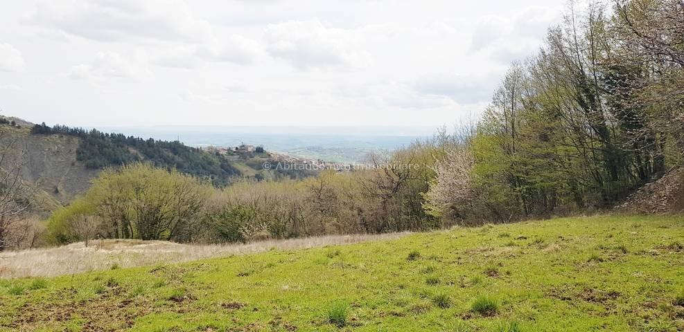 Foto 3 - Casa indipendente C.da Traino, Villa Celiera - foto 3