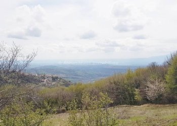 Foto 6 - Casa indipendente C.da Traino, Villa Celiera - foto 6