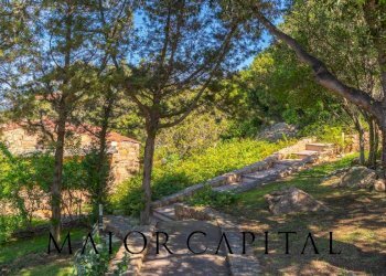 Foto 58 - Villa Punta Molara, San Teodoro - foto 58