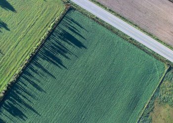 Foto 2 - Terreno agricolo VIA DEL PARCO, Gorgonzola - foto 2