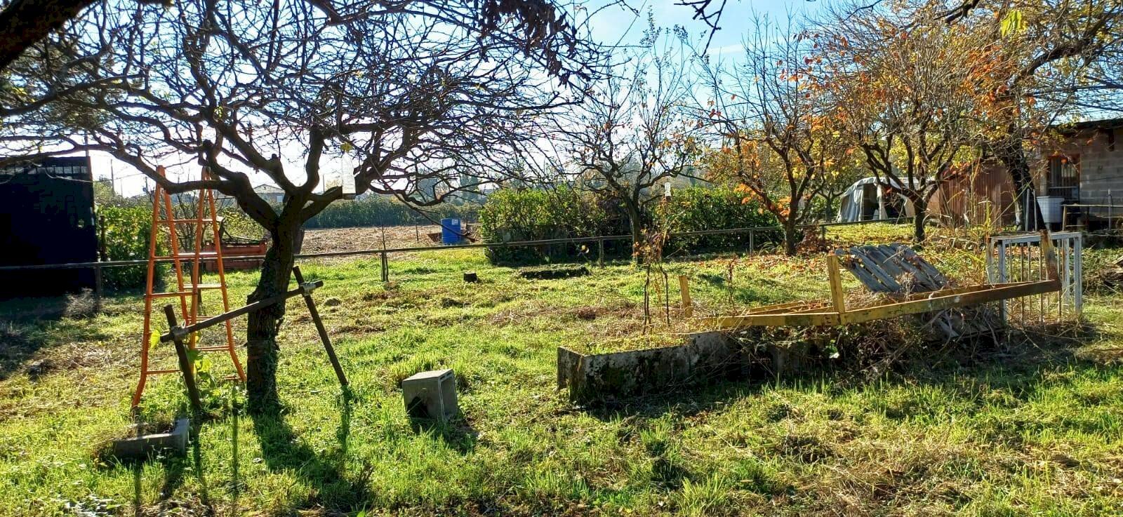 Foto 1 - Terreno agricolo Quadri
 
15, Cornate d'Adda - foto 1