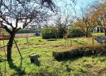 Foto 1 - Agricultural land Quadri
 
15, Cornate d'Adda - photo 1