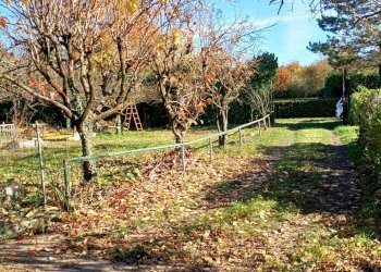 Foto 3 - Agricultural land Quadri
 
15, Cornate d'Adda - photo 3