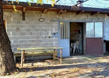 Foto 5 - Agricultural land Quadri
 
15, Cornate d'Adda - photo 5