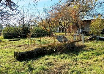 Foto 6 - Agricultural land Quadri
 
15, Cornate d'Adda - photo 6