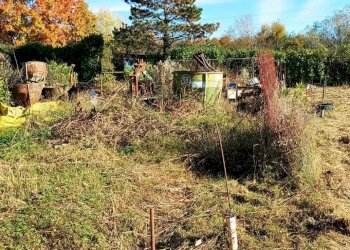 Foto 7 - Agricultural land Quadri
 
15, Cornate d'Adda - photo 7