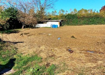 Foto 11 - Agricultural land Quadri
 
15, Cornate d'Adda - photo 11