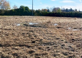 Foto 17 - Agricultural land Quadri
 
15, Cornate d'Adda - photo 17