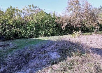 Foto 19 - Agricultural land Quadri
 
15, Cornate d'Adda - photo 19