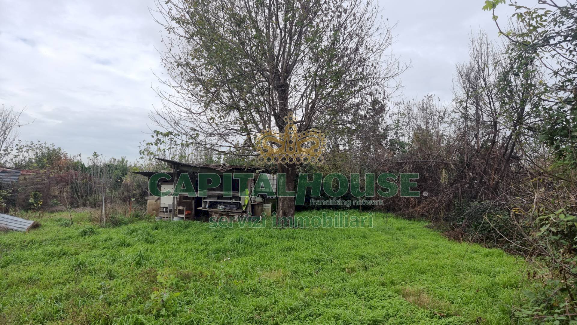 Foto 3 - Agricultural land Marcianise - photo 3