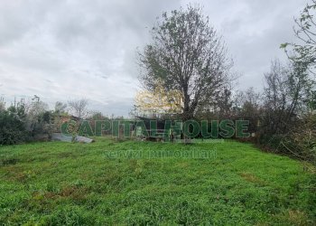 Foto 1 - Terreno agricolo Marcianise - foto 1