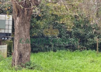 Foto 4 - Terreno agricolo Marcianise - foto 4