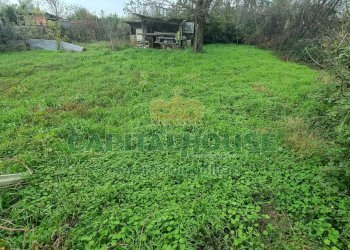 Foto 5 - Terreno agricolo Marcianise - foto 5