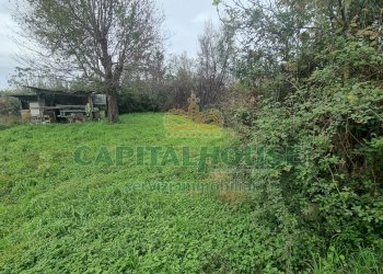 Foto 8 - Terreno agricolo Marcianise - foto 8