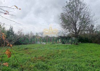 Foto 9 - Terreno agricolo Marcianise - foto 9