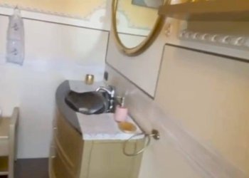 Foto 5 - Terreno non edificabile via emilia
 
267, Pisa - foto 5