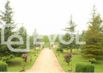 Foto 22 - Villa via Ronchi
 
6, San Giovanni al Natisone - foto 22