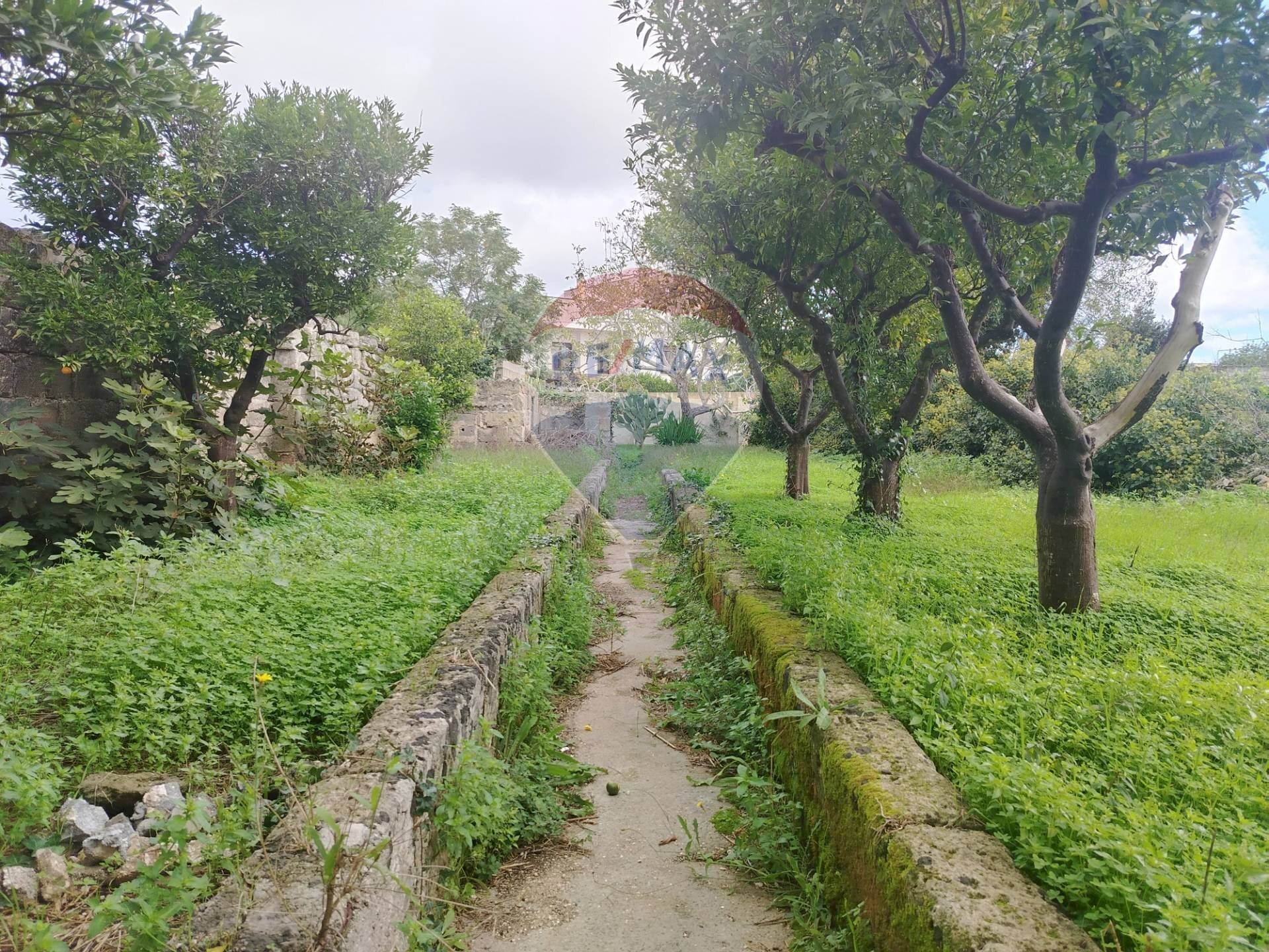 Giardino - Casa indipendente Spongano - foto 1