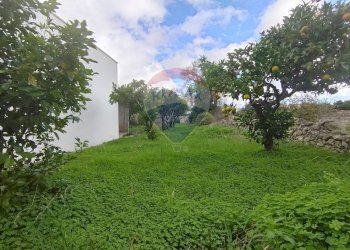 Giardino - Independent house Spongano - photo 18