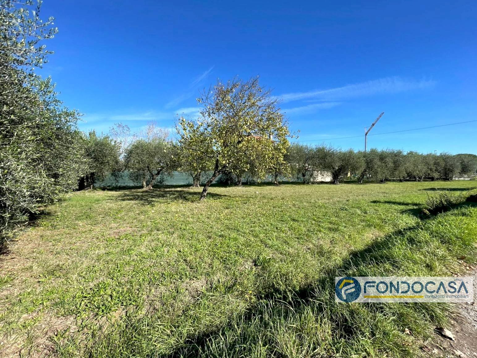 Foto 3 - Terreno agricolo Via Del Battaglione, Calcinaia - foto 3