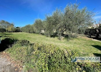 Foto 2 - Terreno agricolo Via Del Battaglione, Calcinaia - foto 2