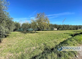 Foto 3 - Terreno agricolo Via Del Battaglione, Calcinaia - foto 3