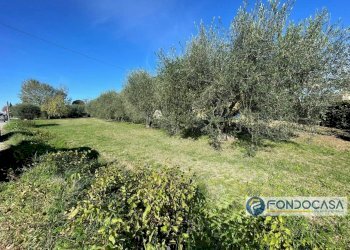 Foto 4 - Terreno agricolo Via Del Battaglione, Calcinaia - foto 4