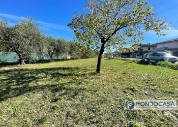 Foto 5 - Terreno agricolo Via Del Battaglione, Calcinaia - foto 5