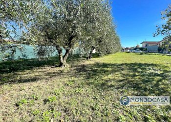 Foto 8 - Terreno agricolo Via Del Battaglione, Calcinaia - foto 8