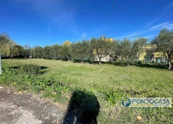 Foto 9 - Terreno agricolo Via Del Battaglione, Calcinaia - foto 9