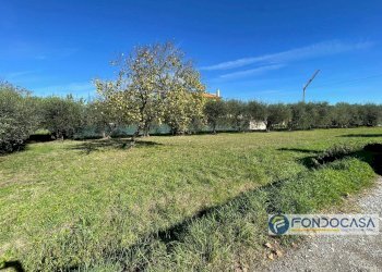 Foto 10 - Terreno agricolo Via Del Battaglione, Calcinaia - foto 10