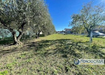 Foto 11 - Terreno agricolo Via Del Battaglione, Calcinaia - foto 11