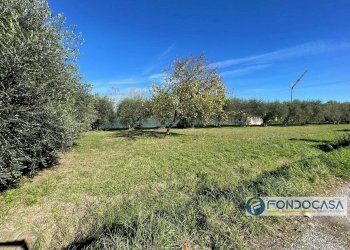 Foto 12 - Terreno agricolo Via Del Battaglione, Calcinaia - foto 12