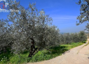 Antella vendesi oliveta - Agricultural land via di Montisoni
10, Bagno a Ripoli - photo 1