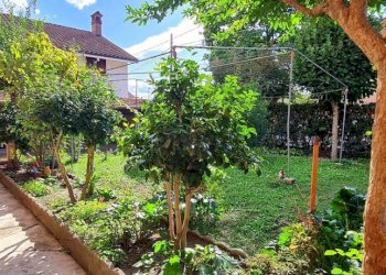 Giardino - Villa vicolo Giuseppe Giacosa, 18, Chivasso - foto 4