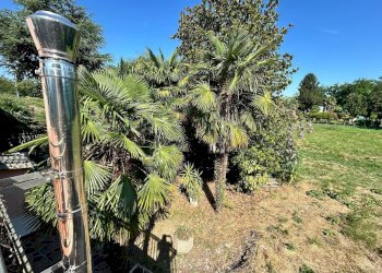 Foto 38 - Villa via san gaetano
 
1, Rovigo - foto 38