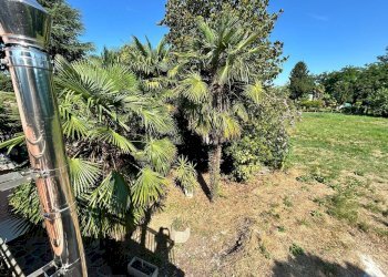 Foto 39 - Villa via san gaetano
 
1, Rovigo - foto 39