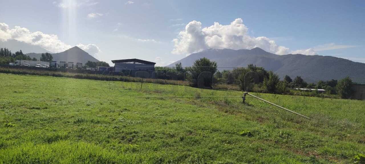 terreno 2.jpg - Terreno agricolo Via Casilina Sud snc, San Vittore del Lazio - foto 2