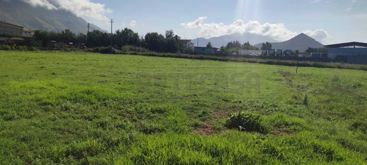 terreno 3.jpg - Terreno agricolo Via Casilina Sud snc, San Vittore del Lazio - foto 3