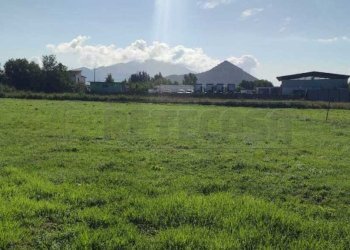 terreno 1.jpg - Terreno agricolo Via Casilina Sud snc, San Vittore del Lazio - foto 1