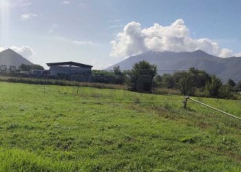 terreno 2.jpg - Terreno agricolo Via Casilina Sud snc, San Vittore del Lazio - foto 2