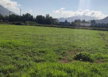 terreno 3.jpg - Terreno agricolo Via Casilina Sud snc, San Vittore del Lazio - foto 3