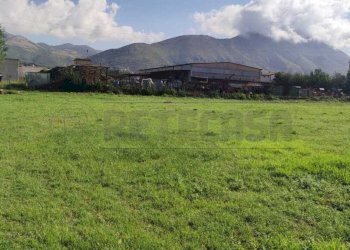 terreno 4.jpg - Terreno agricolo Via Casilina Sud snc, San Vittore del Lazio - foto 4