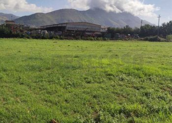 terreno 5.jpg - Terreno agricolo Via Casilina Sud snc, San Vittore del Lazio - foto 5