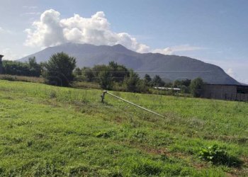terreno.jpg - Terreno agricolo Via Casilina Sud snc, San Vittore del Lazio - foto 6