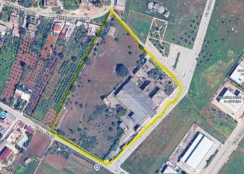 Immagine 2025-11-05 160611.jpg - Non Alimentare Castelvetrano - foto 1